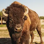 Apartment Z Wanna Wolnostojaca