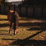 Z Wanna Wolnostojaca Stare Miasto (Konin)