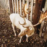 Apartment Z Wanna Wolnostojaca *