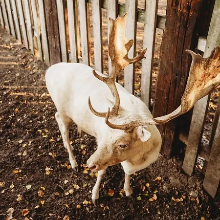 Apartment Z Wanna Wolnostojaca *