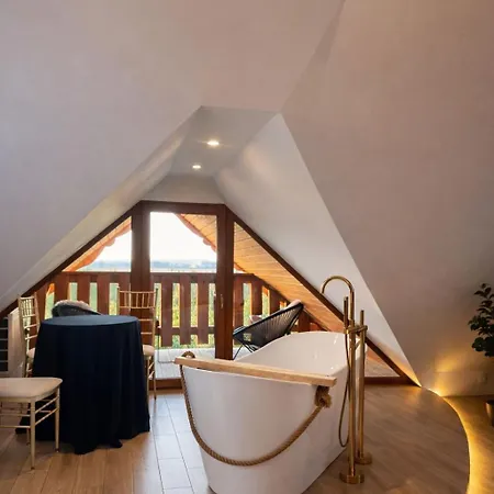 Z Wanna Wolnostojaca Apartment Stare Miasto (Konin)