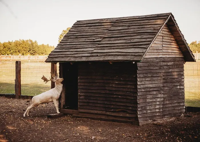 Z Wanna Wolnostojaca