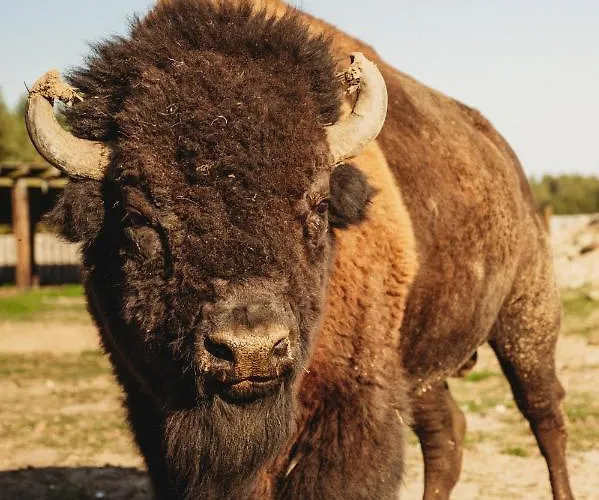 Apartment Z Wanna Wolnostojaca