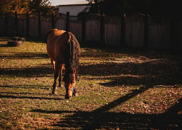Z Wanna Wolnostojaca Stare Miasto (Konin)