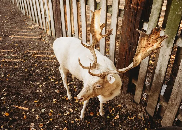 Apartment Z Wanna Wolnostojaca *